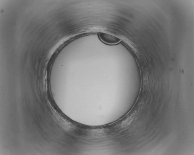 X0000072991126200608041301