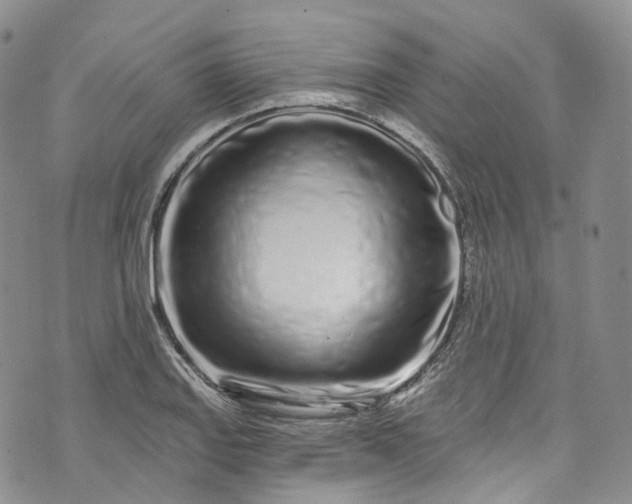 X0000072991127200608041301