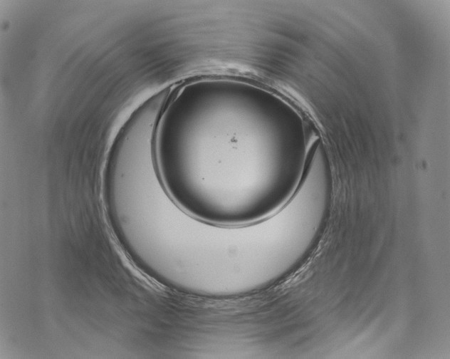 X0000072991128200608041301