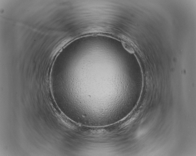 X0000072991129200608041301