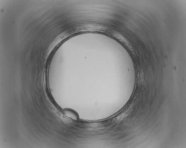 X0000072991130200608041301