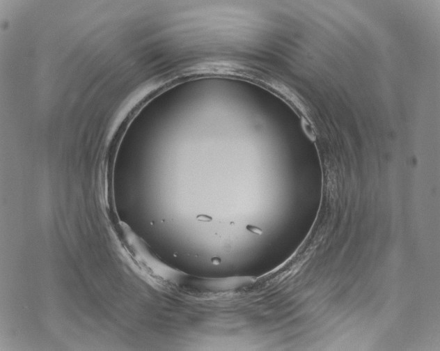 X0000072991131200608041301