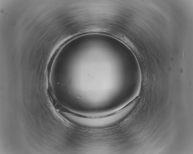 X0000072991132200608041301