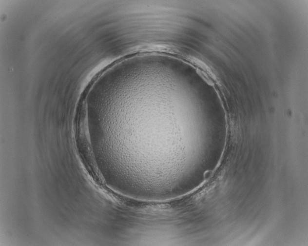 X0000072991133200608041301