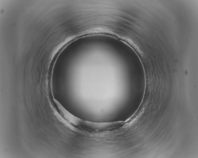 X0000072991134200608041301