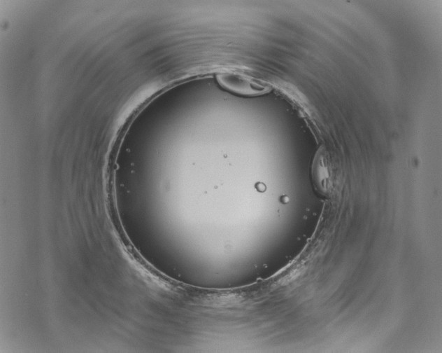 X0000072991135200608041301