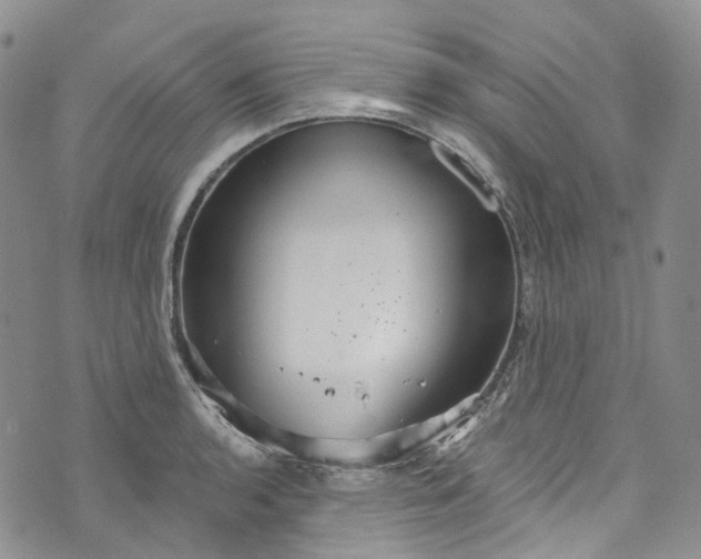 X0000072991136200608041301