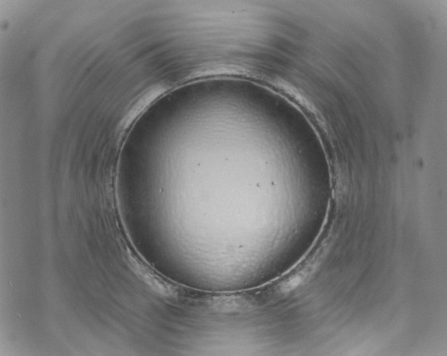 X0000072991137200608041301