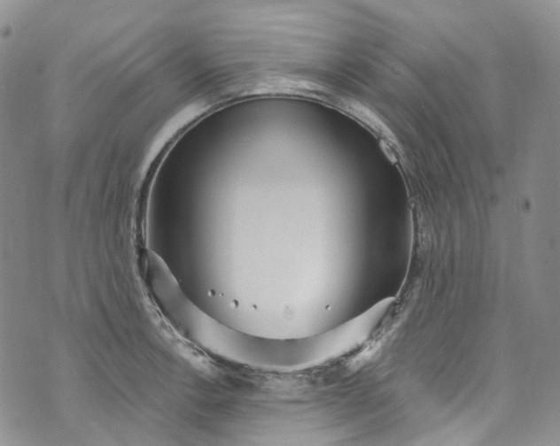 X0000072991138200608041301