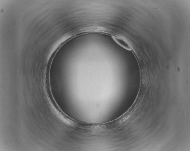 X0000072991139200608041302