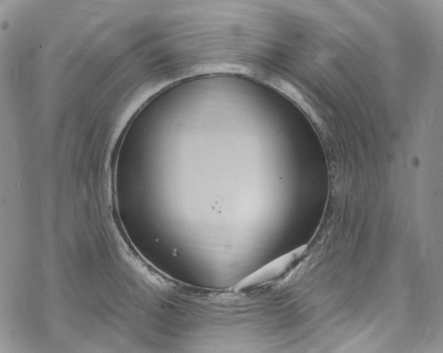 X0000072991140200608041302