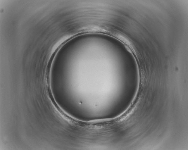 X0000072991141200608041302