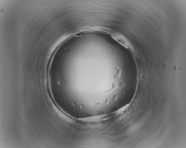 X0000072991143200608041302