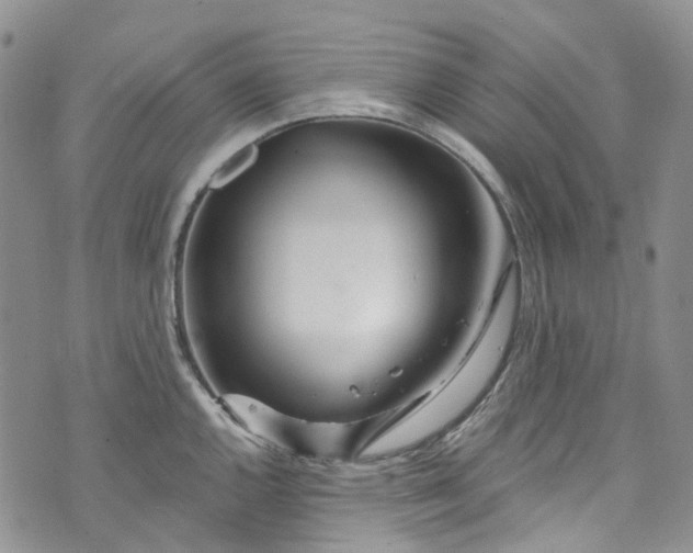 X0000072991144200608041302