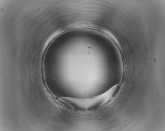 X0000072991146200608041302