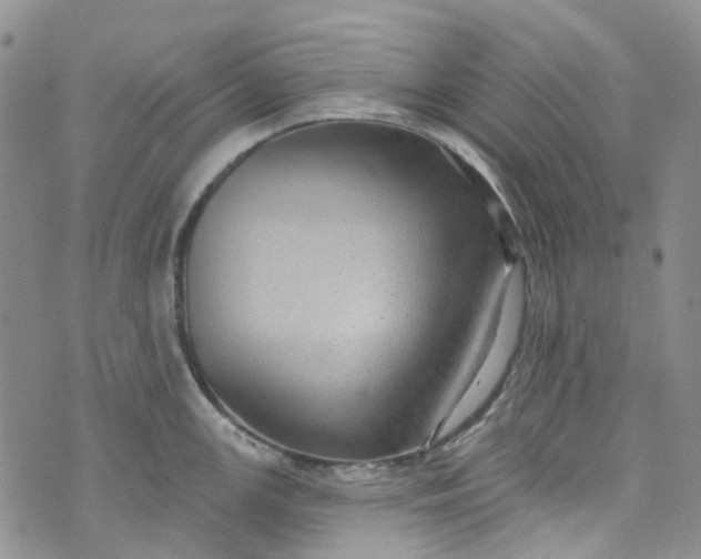 X0000072991147200608041302