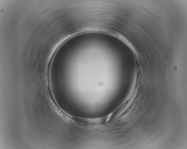 X0000072991148200608041302