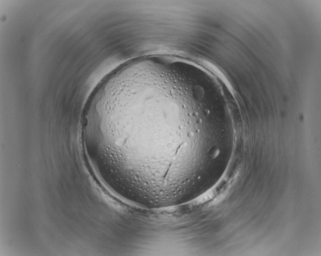 X0000072991149200608041302