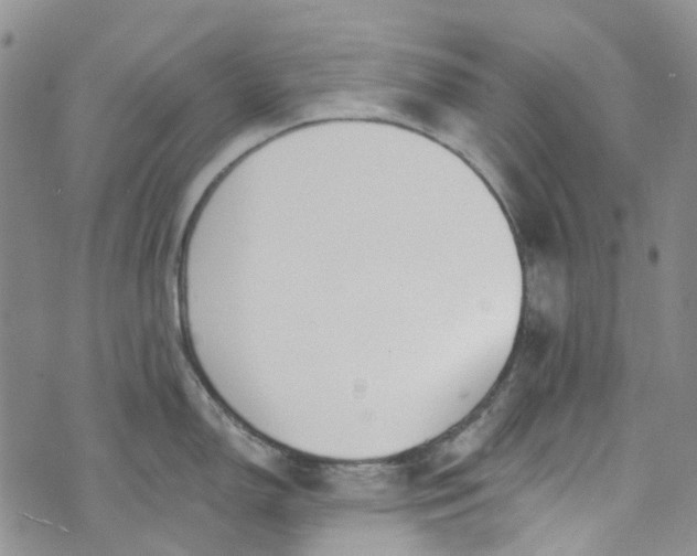 X0000072991150200608041302