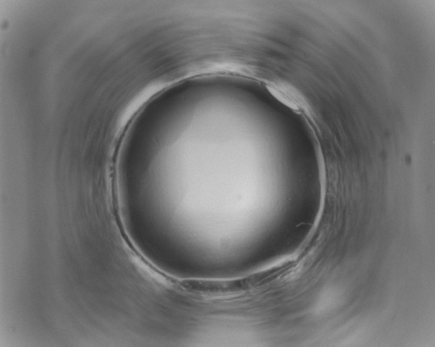 X0000072991151200608041302