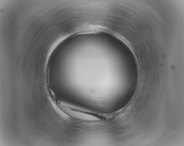 X0000072991152200608041302