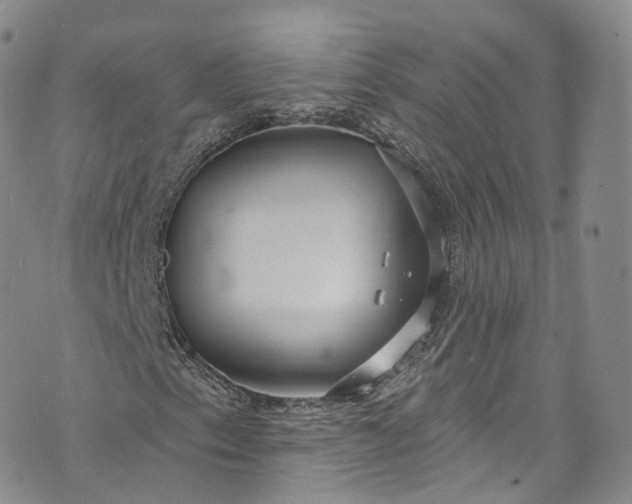 X0000072991153200608041301