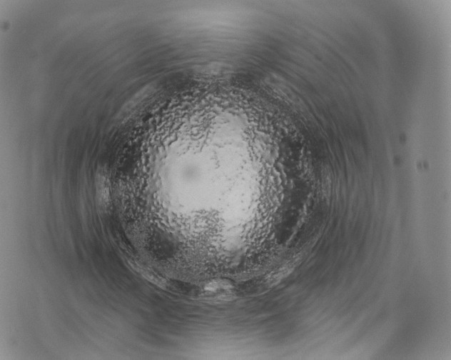 X0000072991154200608041301