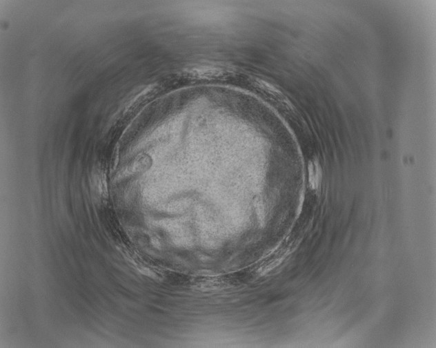 X0000072991155200608041301