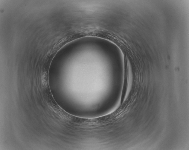 X0000072991156200608041301