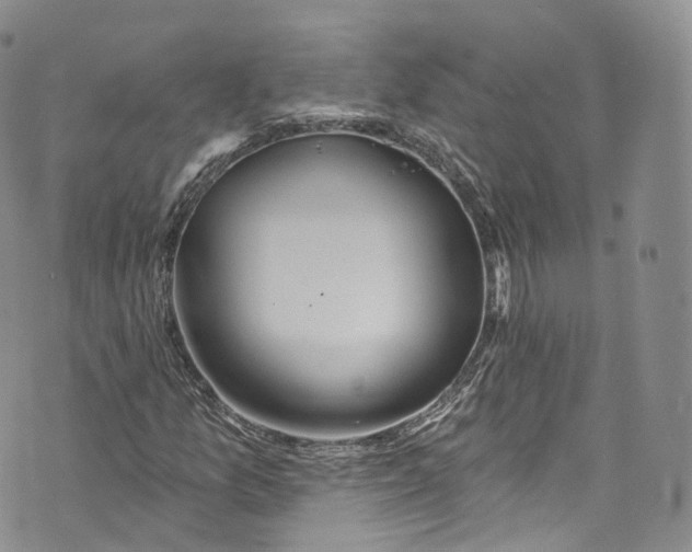 X0000072991157200608041301