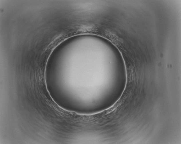 X0000072991158200608041301