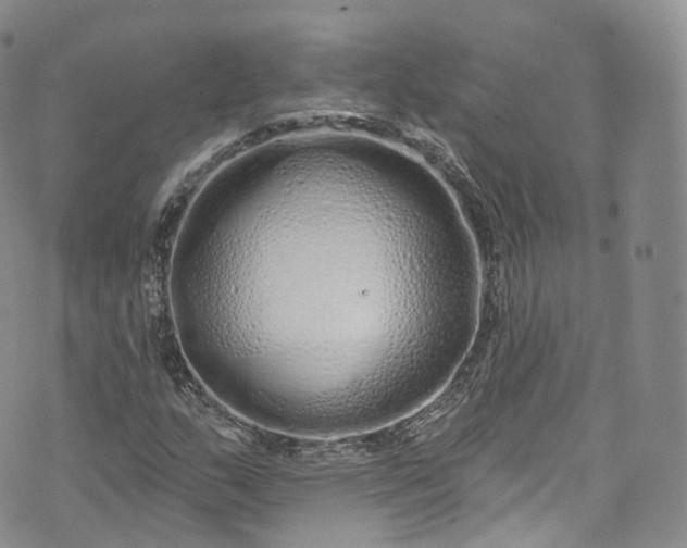 X0000072991159200608041301