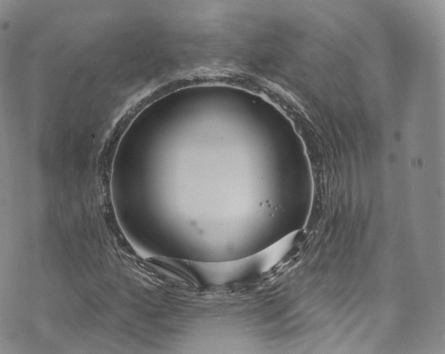 X0000072991160200608041301