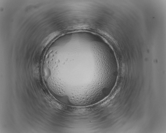 X0000072991162200608041301