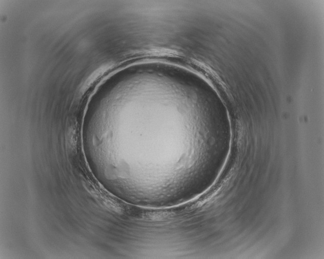 X0000072991163200608041301