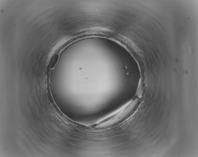 X0000072991164200608041301