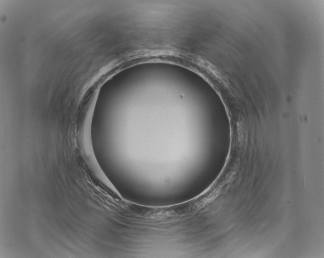 X0000072991165200608041301