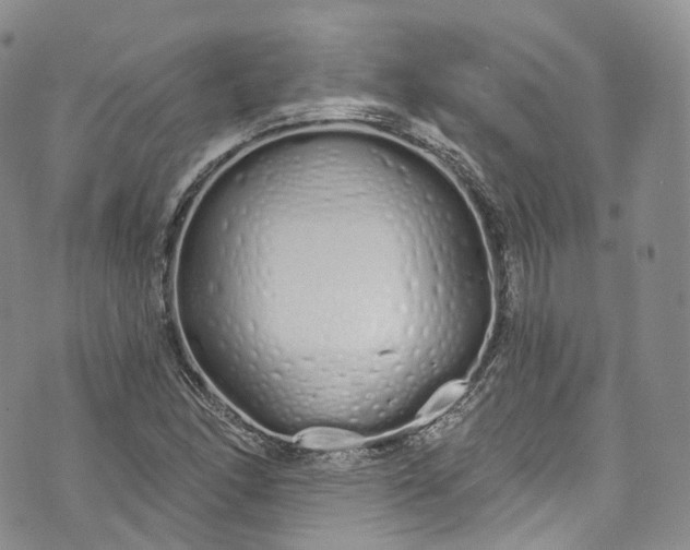 X0000072991166200608041301