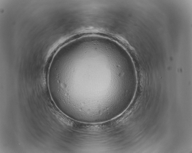 X0000072991167200608041301