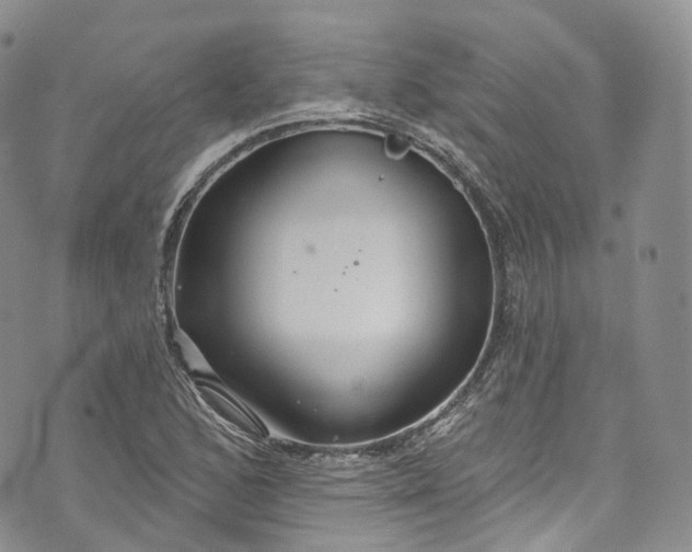 X0000072991168200608041301