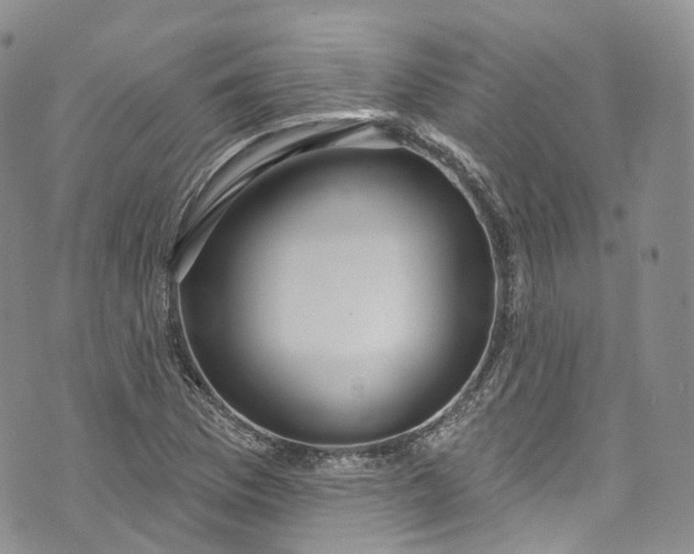 X0000072991169200608041301