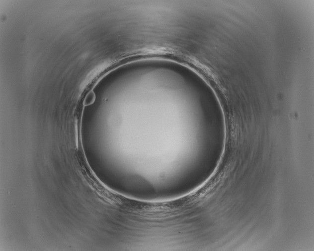 X0000072991171200608041301