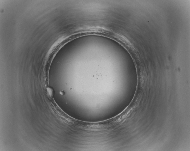 X0000072991172200608041301