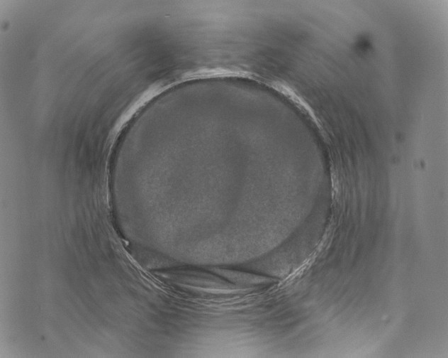 X0000072991173200608041301