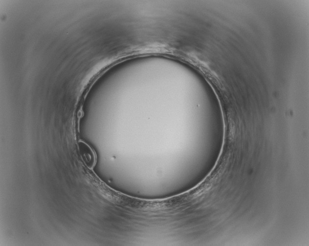 X0000072991174200608041301