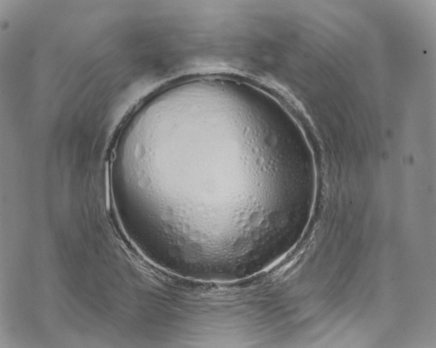 X0000072991175200608041301