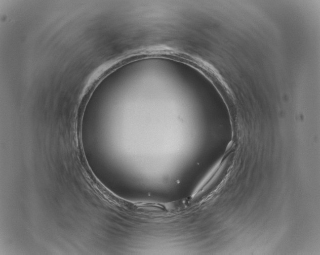 X0000072991176200608041301