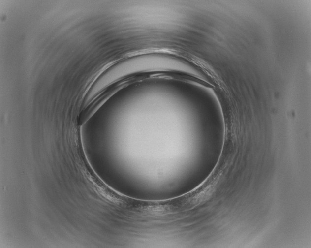 X0000072991177200608041301