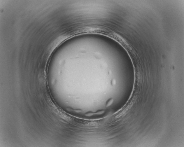 X0000072991178200608041301