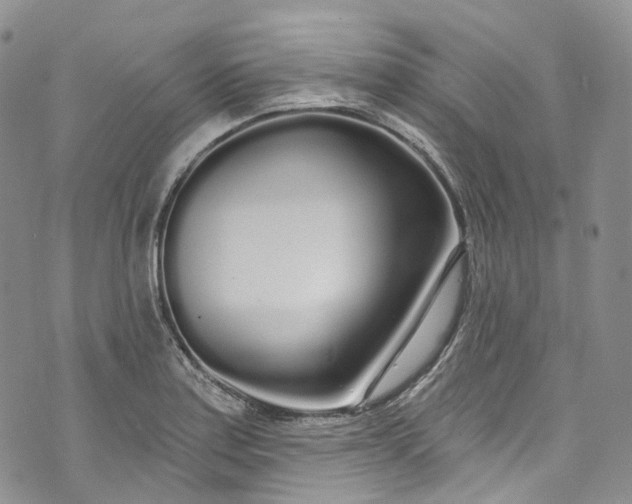 X0000072991179200608041301